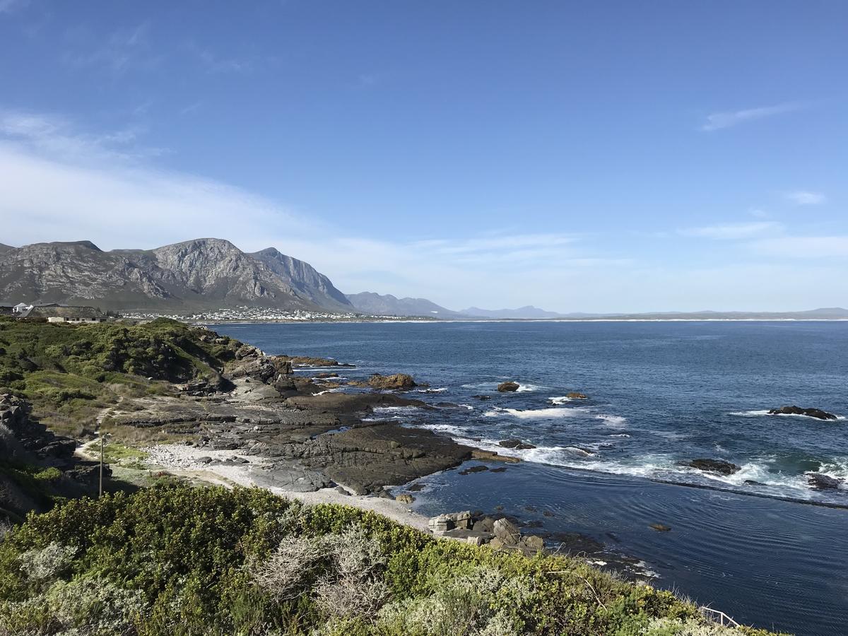 Bed and Breakfast Francolin Manor Hermanus Esterno foto