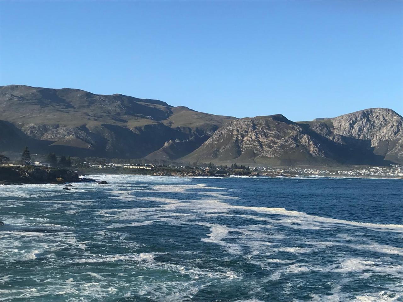 Bed and Breakfast Francolin Manor Hermanus Esterno foto
