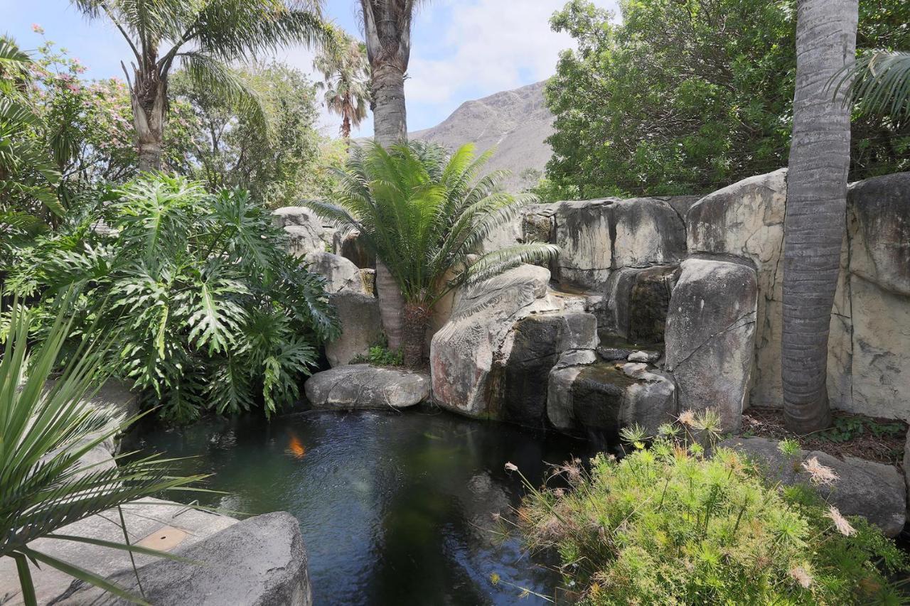 Bed and Breakfast Francolin Manor Hermanus Esterno foto